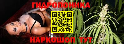 PSILOCYBIN Волгодонск
