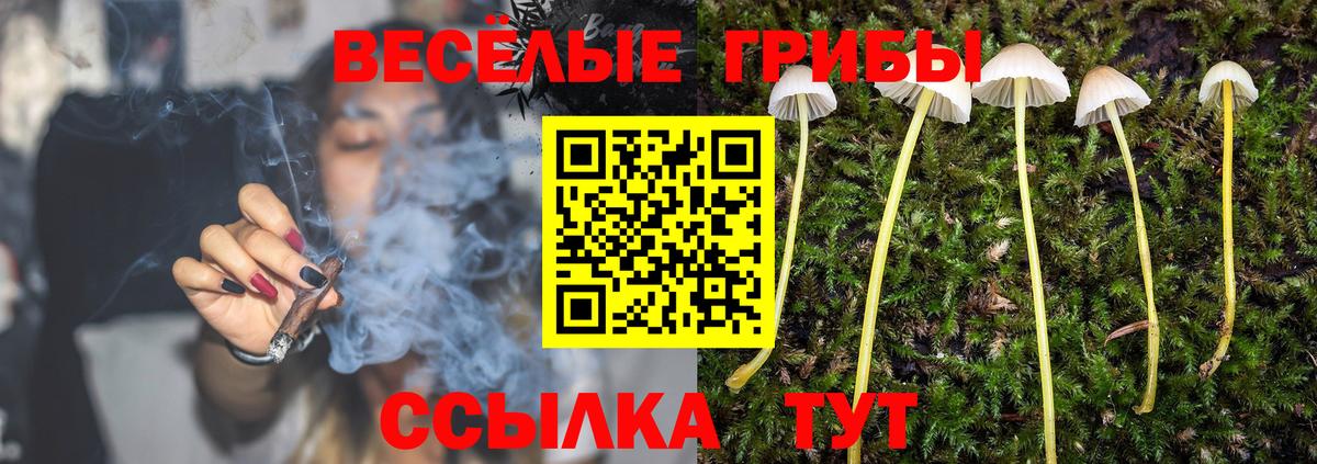 Кодеин  Вход с VPN  Гусиноозёрск  МАРИХУАНА  МЕФ  Мефедрон   ГАШИШ  ГАШИШ 