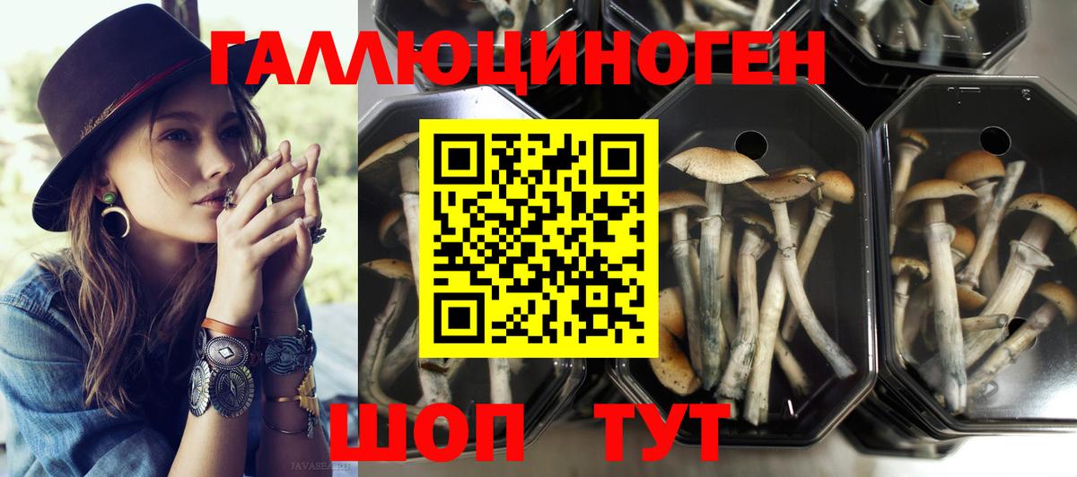 Гусиноозёрск  магазин продажи   Вход с VPN  Галлюциногенные грибы Magic Shrooms 