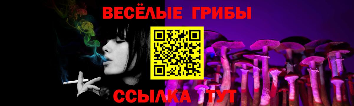 Псилоцибиновые грибы Psilocybine cubensis Гусиноозёрск